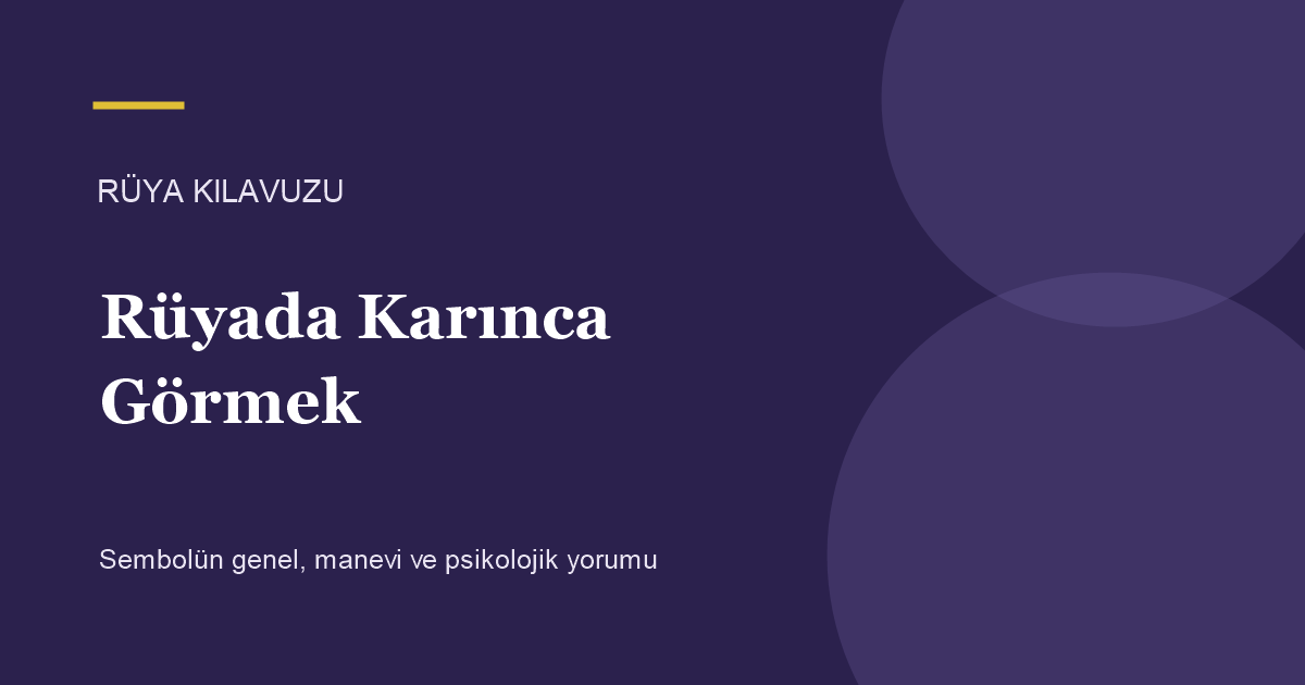 Rüyada Karınca Görmek için Rüya Kılavuzu görseli