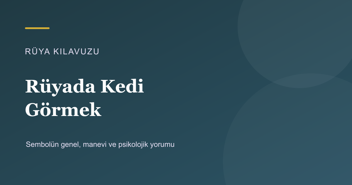 Rüyada Kedi Görmek için Rüya Kılavuzu görseli