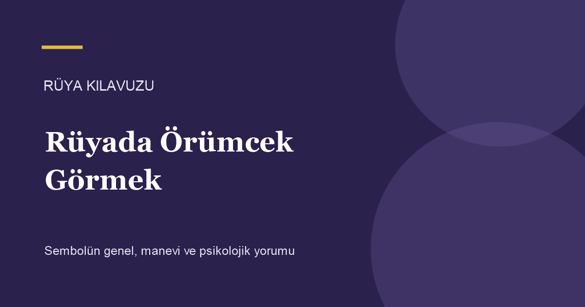 Rüyada Örümcek Görmek için Rüya Kılavuzu görseli